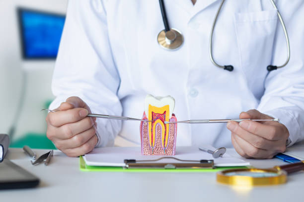 Best Emergency Root Canal Treatment in Slinger, WI